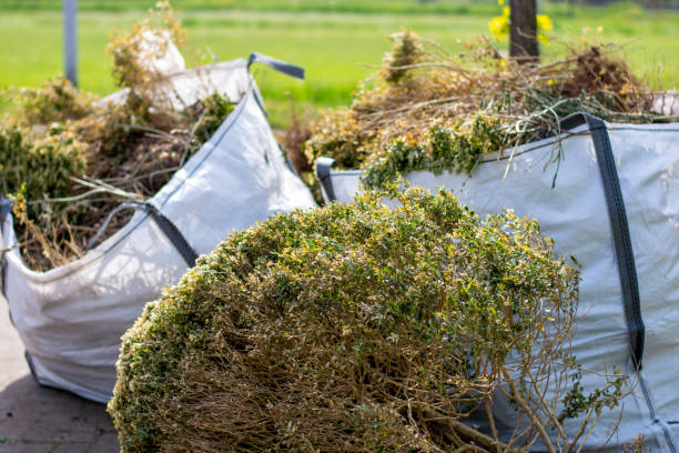 Best Basement Cleanout Services  in Petersburg, IL