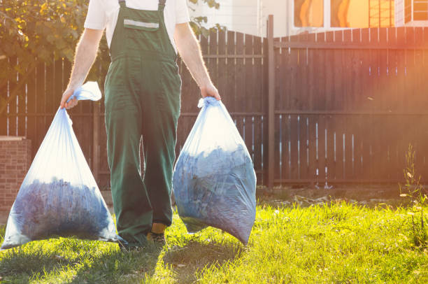 Best Construction Debris Removal  in Petersburg, IL
